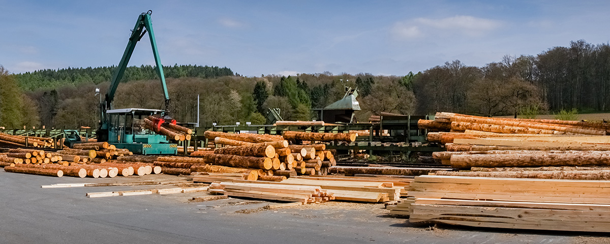 coc-zertiefizierung Sägewerk Holzstämme